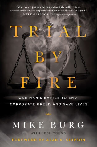 Cover of Trial by Fire