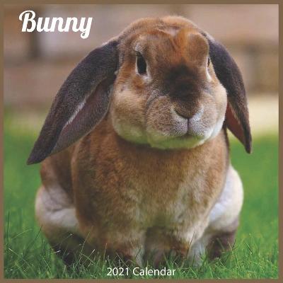 Book cover for Bunny 2021 Calendar
