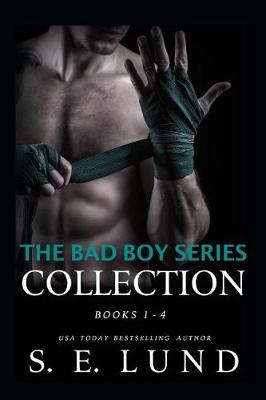 Book cover for The Bad Boy Series Collection