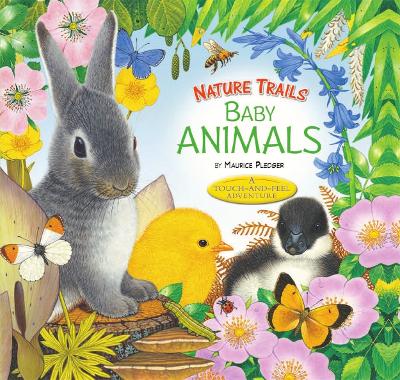 Book cover for Nature Trails: Baby Animals