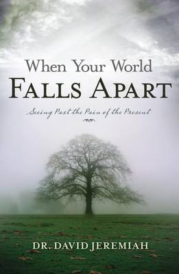 Book cover for When Your World Falls Apart