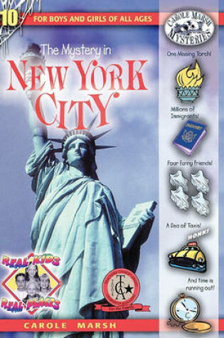 Cover of The Mystery in New York City