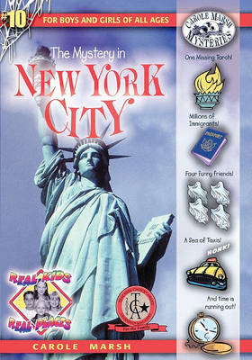 Book cover for The Mystery in New York City