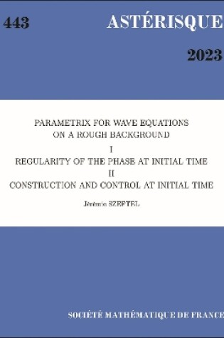 Cover of Parametrix for Wave Equations on a Rough Background