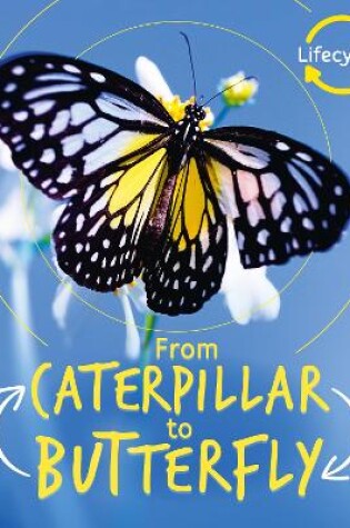 Cover of Lifecycles: Caterpillar to Butterfly