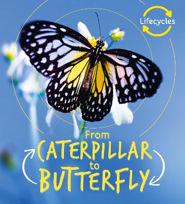 Book cover for Lifecycles: Caterpillar to Butterfly