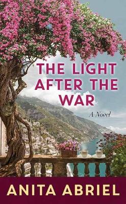 Book cover for The Light After The War