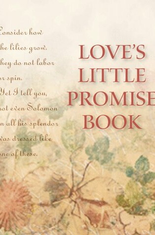 Cover of Love's Little Promise Book