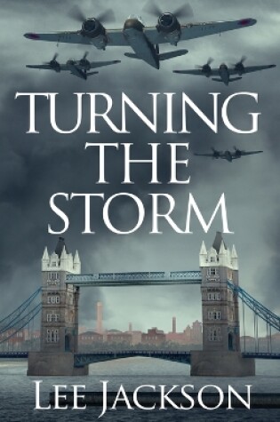 Cover of Turning the Storm