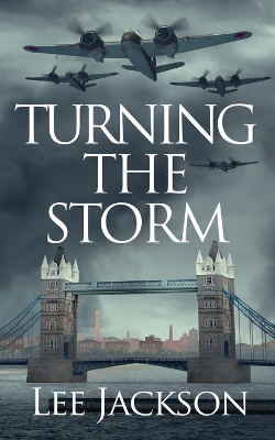Cover of Turning the Storm