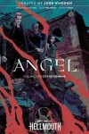 Book cover for Angel Vol. 2