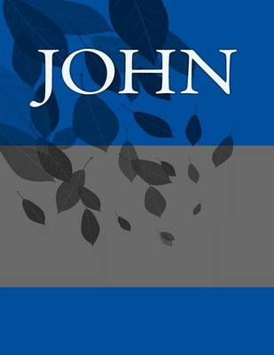 Book cover for John