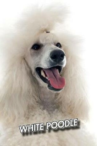 Cover of White Poodle