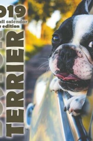 Cover of Boston Terrier 2019 Mini Wall Calendar (UK Edition)