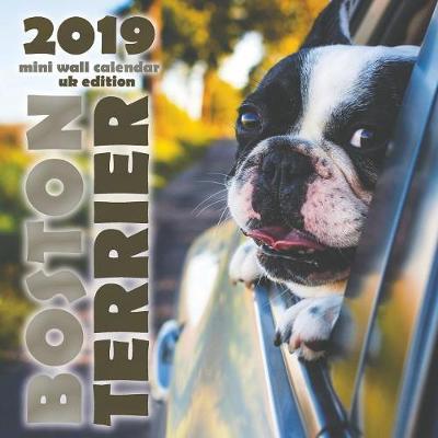 Book cover for Boston Terrier 2019 Mini Wall Calendar (UK Edition)