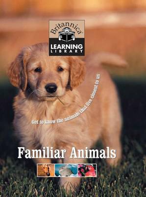Book cover for Familiar Animals