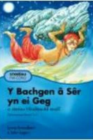 Cover of Y Bachgen a Ser Yn Ei Geg