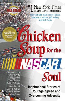Book cover for Chicken Soup for the NASCAR Soul