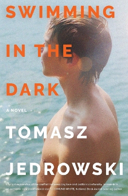 Book cover for Swimming in the Dark