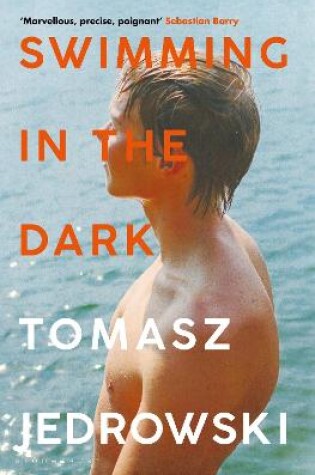 Cover of Swimming in the Dark