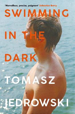 Book cover for Swimming in the Dark