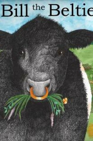 Cover of Big Bill the Beltie Bull