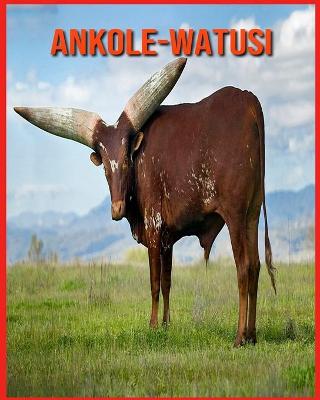 Book cover for Ankole-Watusi