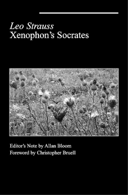 Book cover for Xenophon`s Socrates