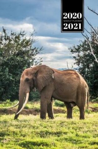 Cover of Elephant Mammoth Week Planner Weekly Organizer Calendar 2020 / 2021 - On the Meadow