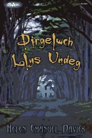 Cover of Cyfres Strach: Dirgelwch Llys Undeg