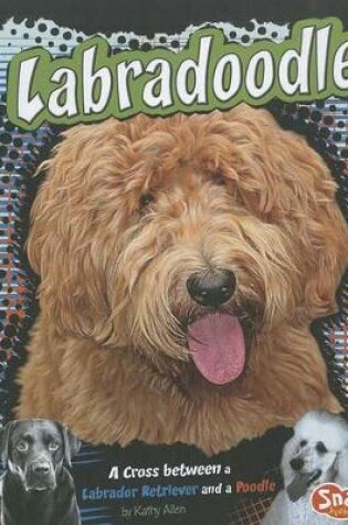 Cover of Labradoodle