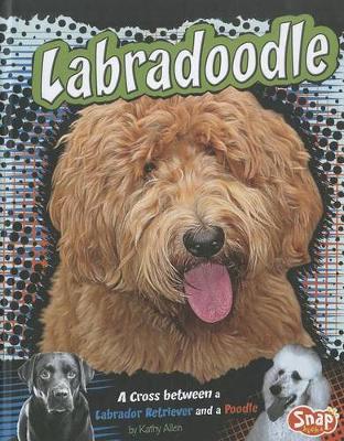 Cover of Labradoodle