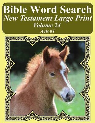 Book cover for Bible Word Search New Testament Large Print Volume 24