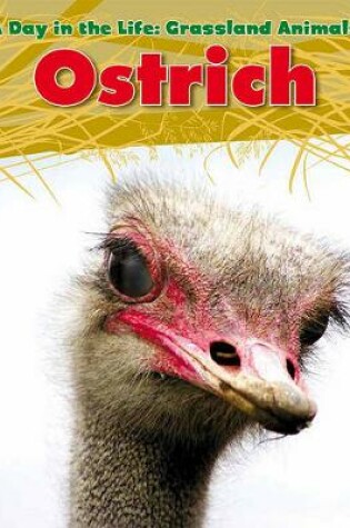Cover of Ostrich (A Day in the Life: Grassland Animals)