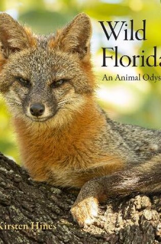 Cover of Wild Florida