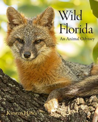 Book cover for Wild Florida