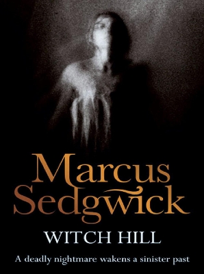 Book cover for Witch Hill