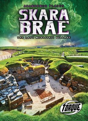 Book cover for Skara Brae