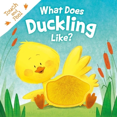 Book cover for What Does Duckling Like?