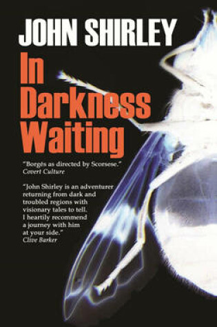 Cover of In Darkness Waiting