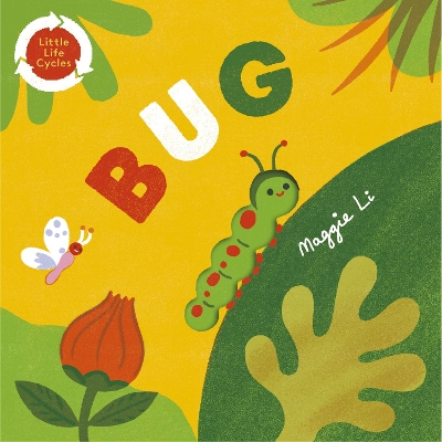 Cover of Little Life Cycles: Bug