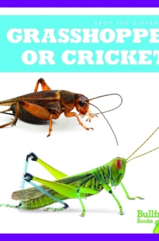 Cover of Grasshopper or Cricket?