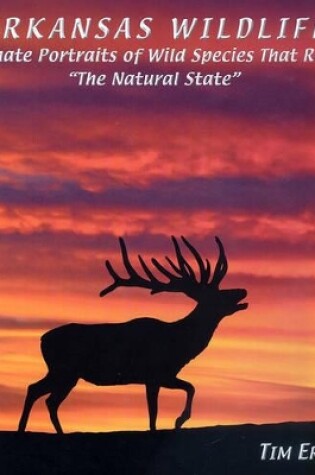 Cover of Arkansas Wildlife