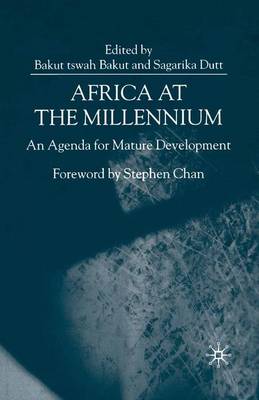 Book cover for Africa at the Millennium