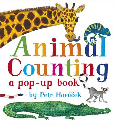 Book cover for Animal Counting
