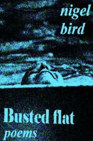 Cover of Busted Flat