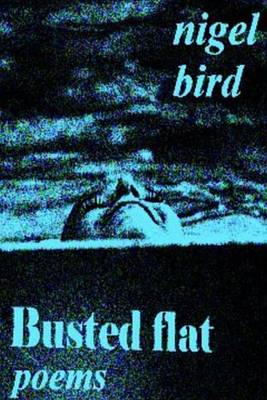 Book cover for Busted Flat