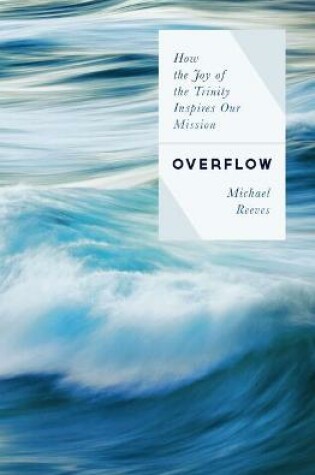 Cover of Overflow