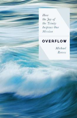 Book cover for Overflow