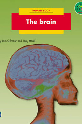 Cover of Brain, The Non-Fiction 2